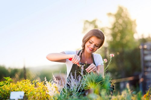 Professional garden clearance services in Brimsdown