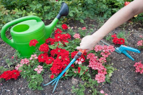 Close-up of a gardener inspecting lawn and plants for issues
