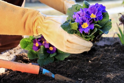 Comprehensive debris removal by garden clearance experts