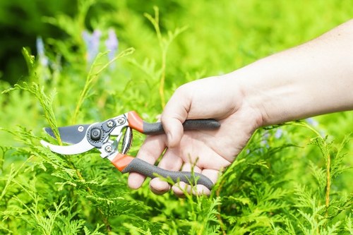 Gardener performing corrective work trimming hedges and pruning shrubs