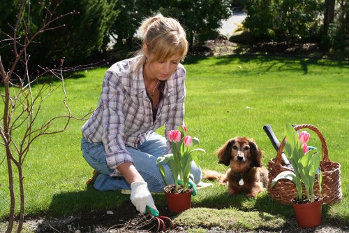 Operative wearing PPE while pruning
